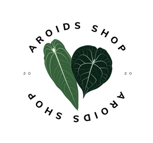 Aroids Shop