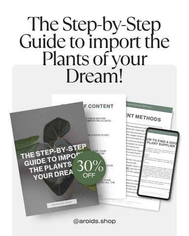 Step-by-Step Guide to Import the Plants of your Dream!